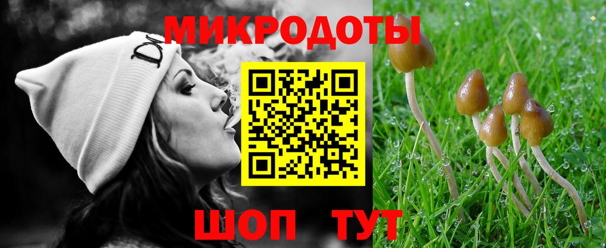 Галлюциногенные грибы Cubensis  Вход с VPN  Балашиха 